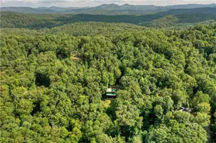 482 N Old Aska Rd, Blue Ridge, GA 30513 - Photo 55