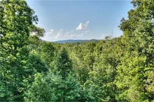 482 N Old Aska Rd, Blue Ridge, GA 30513 - Photo 5
