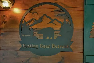 482 N Old Aska Road, Blue Ridge, GA 30513 - Photo 11