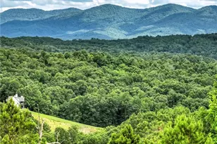 458 Blue Berry Ridge, Morganton, GA 30560 - Photo 51