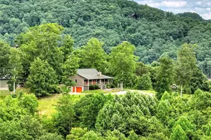 458 Blue Berry Ridge, Morganton, GA 30560 - Photo 53