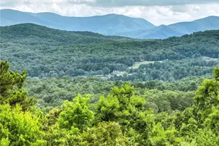 458 Blue Berry Ridge, Morganton, GA 30560 - Photo 35