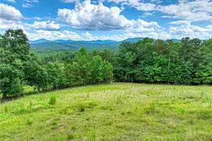 458 Blue Berry Ridge, Morganton, GA 30560 - Photo 11