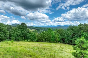 458 Blue Berry Ridge, Morganton, GA 30560 - Photo 49