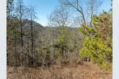 314 Oberlin Court, Ranger, GA 30734 - Photo 21