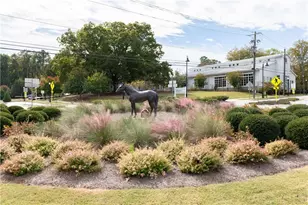133 Laurel Brk Ln, Canton, GA 30115 - Photo 27