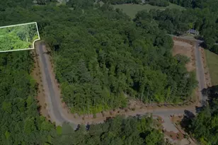 133 Laurel Brk Ln, Canton, GA 30115 - Photo 25