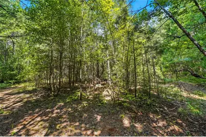 00 Sleepy Hollow Drive, Powder Springs, GA 30127 - Photo 19