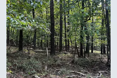 00 Elk Court, Jasper, GA 30143 - Photo 3