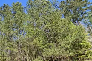 124 Aaronwood Ct, Alpharetta, GA 30004 - Photo 9