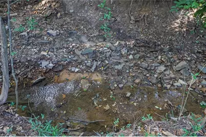 2130 Hickory Cove, Cumming, GA 30041 - Photo 33