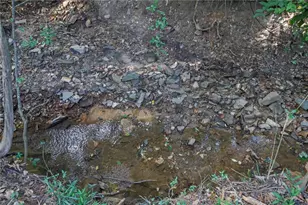 2130 Hickory Cove, Cumming, GA 30041 - Photo 33