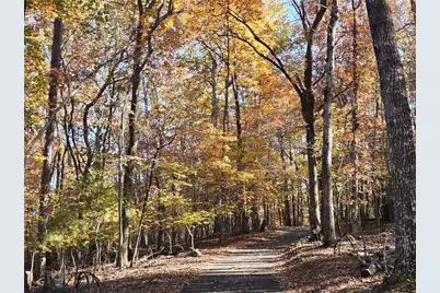 1063 Grindle Bridge Road, Dahlonega, GA 30533 - Photo 39