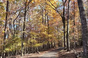 1063 Grindle Bridge Rd, Dahlonega, GA 30533 - Photo 39