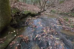 1063 Grindle Bridge Rd, Dahlonega, GA 30533 - Photo 37