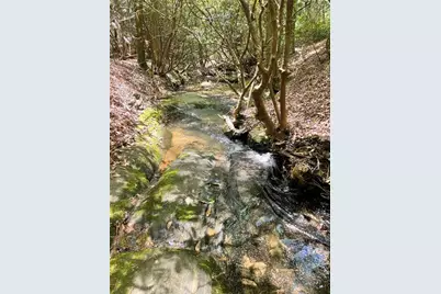 1063 Grindle Bridge Road, Dahlonega, GA 30533 - Photo 29