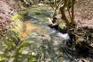 1063 Grindle Bridge Rd, Dahlonega, GA 30533 - Photo 29