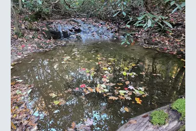 1063 Grindle Bridge Road, Dahlonega, GA 30533 - Photo 33