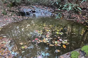 1063 Grindle Bridge Rd, Dahlonega, GA 30533 - Photo 33