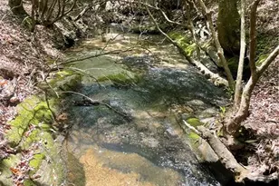 1063 Grindle Bridge Rd, Dahlonega, GA 30533 - Photo 25