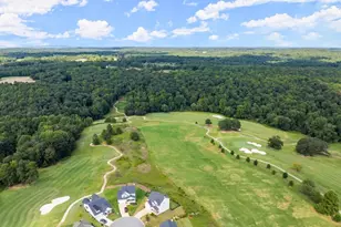 146 Preserve Ln, Homer, GA 30547 - Photo 57