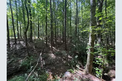 91 Hickory Creek Lane, Acworth, GA 30101 - Photo 9