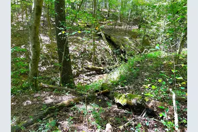 446 McGukin Road, Bremen, GA 30110 - Photo 55