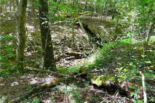 446 McGukin Rd, Bremen, GA 30110 - Photo 55