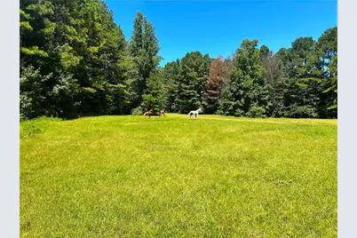 446 McGukin Road, Bremen, GA 30110 - Photo 67