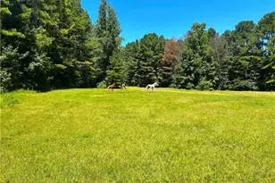 446 McGukin Rd, Bremen, GA 30110 - Photo 67