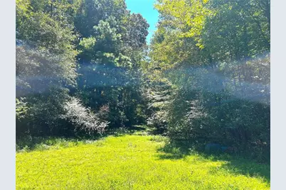 446 McGukin Road, Bremen, GA 30110 - Photo 51