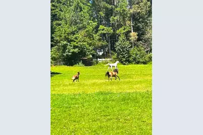 446 McGukin Road, Bremen, GA 30110 - Photo 49