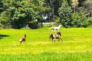 446 McGukin Rd, Bremen, GA 30110 - Photo 49