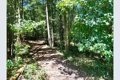 446 McGukin Road, Bremen, GA 30110 - Photo 61