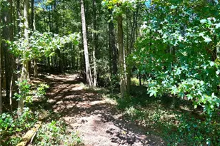 446 McGukin Rd, Bremen, GA 30110 - Photo 61