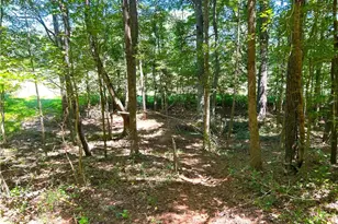 446 McGukin Rd, Bremen, GA 30110 - Photo 57