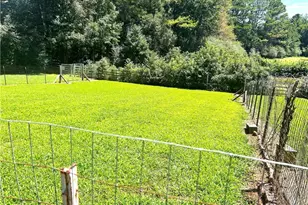 446 McGukin Rd, Bremen, GA 30110 - Photo 23