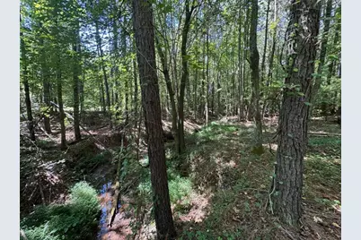 63 Hickory Creek Lane, Acworth, GA 30101 - Photo 9