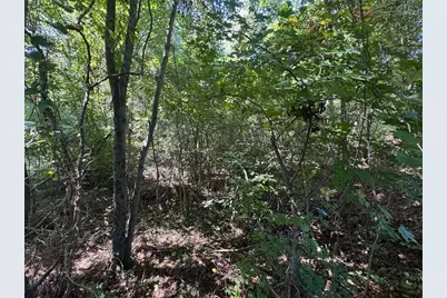 63 Hickory Creek Lane, Acworth, GA 30101 - Photo 11