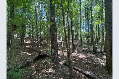 63 Hickory Creek Lane, Acworth, GA 30101 - Photo 5