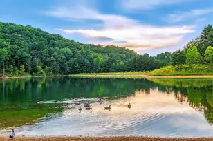 1379 Foxhound Trail, Ranger, GA 30734 - Photo 39