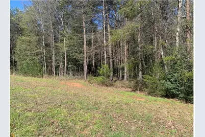 450 Beachwood Drive, Cornelia, GA 30531 - Photo 13