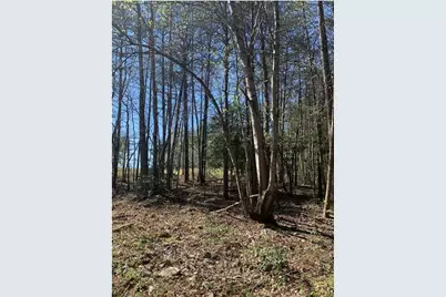 450 Beachwood Drive, Cornelia, GA 30531 - Photo 11