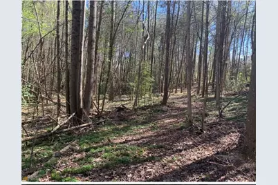 450 Beachwood Drive, Cornelia, GA 30531 - Photo 9