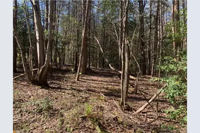 434 Beachwood Drive, Cornelia, GA 30531 - Photo 9