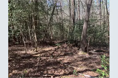 434 Beachwood Drive, Cornelia, GA 30531 - Photo 7