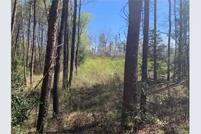 240 Woodmont Drive, Cornelia, GA 30531 - Photo 11