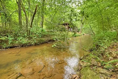 407 Tanglewood Drive, Blue Ridge, GA 30513 - Photo 5