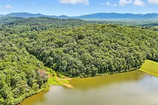 384 Mountain Laurel Dr, Ellijay, GA 30540 - Photo 15