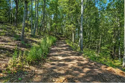 0 Debord Drive, Waleska, GA 30183 - Photo 27